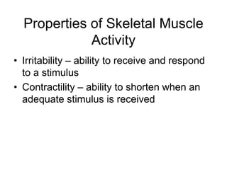 Properties of Skeletal Muscle
Activity
• Irritability – ability to receive and respond
to a stimulus
• Contractility – ability to shorten when an
adequate stimulus is received
 
