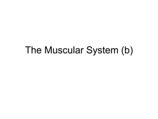 The Muscular System (b)
 