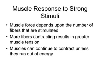 Muscle Response to Strong
Stimuli
• Muscle force depends upon the number of
fibers that are stimulated
• More fibers contracting results in greater
muscle tension
• Muscles can continue to contract unless
they run out of energy
 