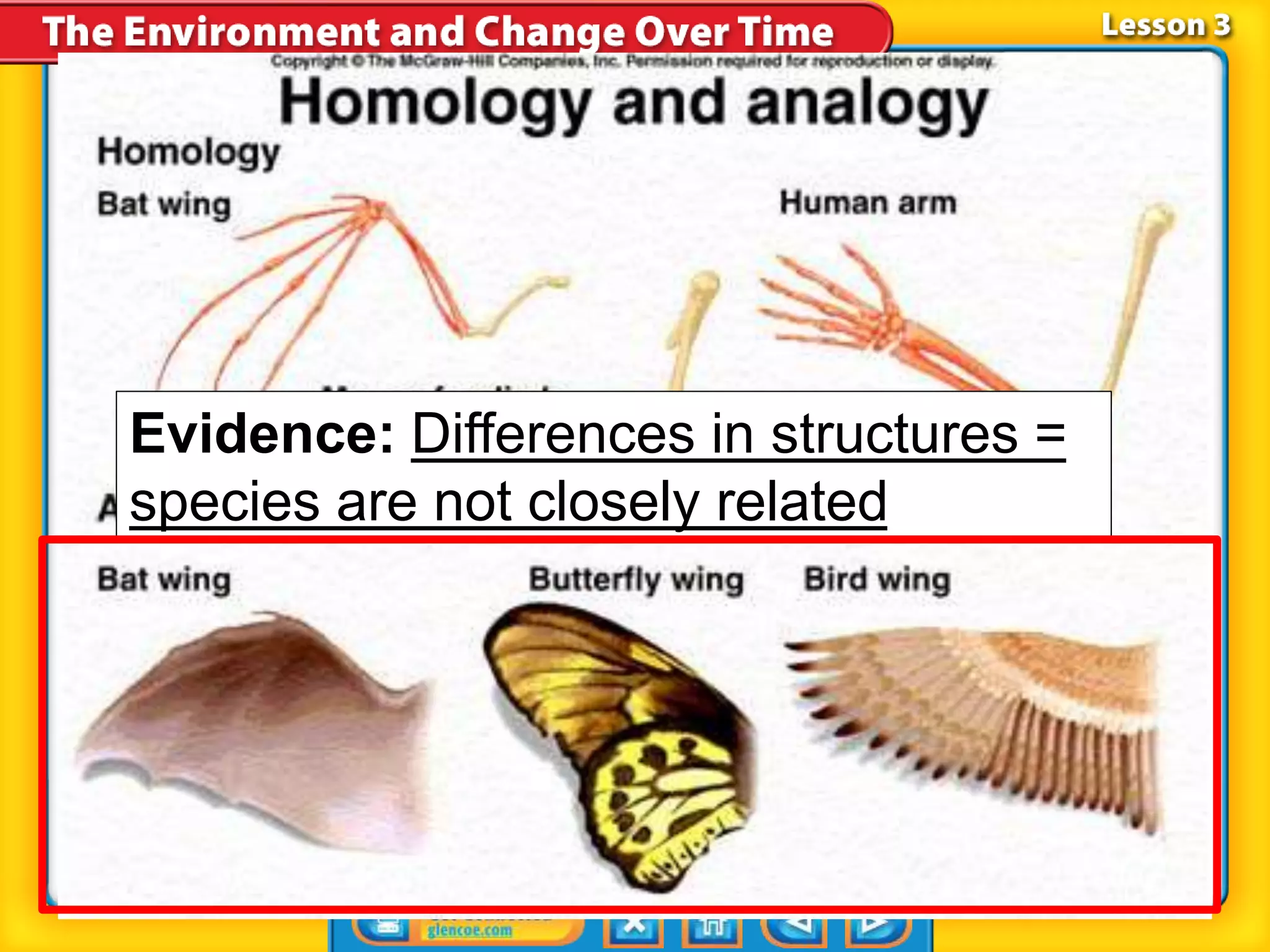 Evidence: Differences in structures =
species are not closely related
 