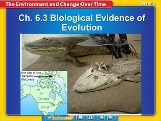 Ch. 6.3 Biological Evidence of
Evolution
 