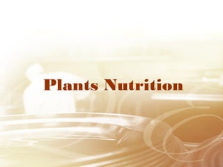 Plants Nutrition
 