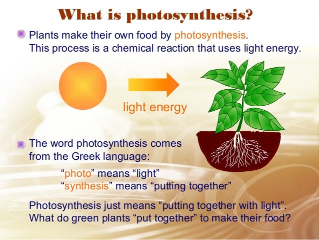 Plants Nutrition plants-nutrition