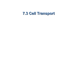 7.3 Cell Transport7.3 Cell Transport
 