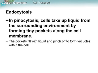 Lesson OverviewLesson Overview Cell TransportCell Transport
Endocytosis
–In pinocytosis, cells take up liquid from
the surrounding environment by
forming tiny pockets along the cell
membrane.
– The pockets fill with liquid and pinch off to form vacuoles
within the cell.
 