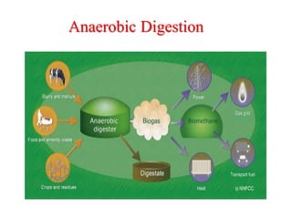 Anaerobic Digestion
 