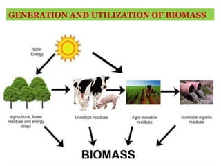 GENERATION AND UTILIZATION OF BIOMASS
 