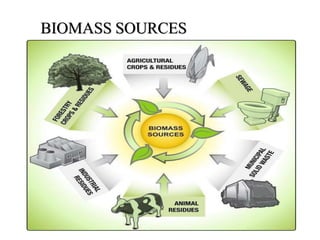 BIOMASS SOURCES
 