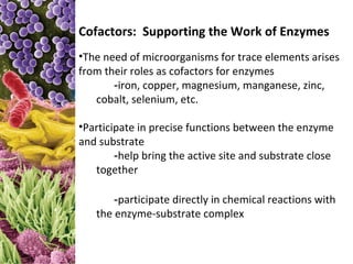 Cofactors: Supporting the Work of Enzymes
•The need of microorganisms for trace elements arises
from their roles as cofactors for enzymes
       -iron, copper, magnesium, manganese, zinc,
   cobalt, selenium, etc.

•Participate in precise functions between the enzyme
and substrate
        -help bring the active site and substrate close
   together

       -participate directly in chemical reactions with
   the enzyme-substrate complex
 