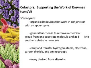 Cofactors: Supporting the Work of Enzymes
(cont’d)
•Coenzymes
      -organic compounds that work in conjunction
   with an apoenzyme

      -general function is to remove a chemical
   group from one substrate molecule and add      it to
   another substrate molecule

      -carry and transfer hydrogen atoms, electrons,
   carbon dioxide, and amino groups

      -many derived from vitamins
 