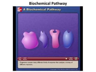 Biochemical Pathway



Please note that due to differing
operating systems, some animations
will not appear until the presentation is
viewed in Presentation Mode (Slide
Show view). You may see blank slides
in the “Normal” or “Slide Sorter” views.
All animations will appear after viewing
in Presentation Mode and playing each
animation. Most animations will require
the latest version of the Flash Player,
which is available at
http://get.adobe.com/flashplayer.
 