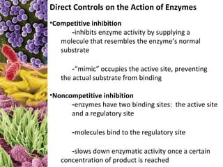 Direct Controls on the Action of Enzymes
•Competitive inhibition
      -inhibits enzyme activity by supplying a
   molecule that resembles the enzyme’s normal
   substrate

       -“mimic” occupies the active site, preventing
   the actual substrate from binding

•Noncompetitive inhibition
      -enzymes have two binding sites: the active site
      and a regulatory site

       -molecules bind to the regulatory site

      -slows down enzymatic activity once a certain
   concentration of product is reached
 