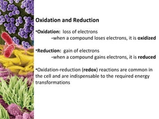 Oxidation and Reduction
•Oxidation: loss of electrons
       -when a compound loses electrons, it is oxidized

•Reduction: gain of electrons
      -when a compound gains electrons, it is reduced

•Oxidation-reduction (redox) reactions are common in
the cell and are indispensable to the required energy
transformations
 