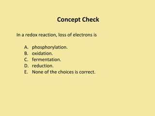 Concept Check

In a redox reaction, loss of electrons is

   A.   phosphorylation.
   B.   oxidation.
   C.   fermentation.
   D.   reduction.
   E.   None of the choices is correct.
 