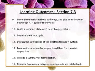 Learning Outcomes: Section 7.3
9.   Name three basic catabolic pathways, and give an estimate of
     how much ATP each of them yields.

10. Write a summary statement describing glycolysis.

11. Describe the Krebs cycle.

12. Discuss the significance of the electron transport system.

13. Point out how anaerobic respiration differs from aerobic
    respiration.

14. Provide a summary of fermentation.

15. Describe how noncarbohydrate compounds are catabolized.
 