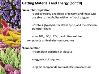 Getting Materials and Energy (cont’d)
•Anaerobic respiration
       -used by strictly anaerobic organisms and those who
       are able to metabolize with or without oxygen

       -involves glycolysis, the Krebs cycle, and the electron
       transport chain

      -uses NO3-, SO42-, CO33-, and other oxidized
   compounds as final electron acceptors

•Fermentation
       -incomplete oxidation of glucose

       -oxygen is not required

       -organic compounds are final electron acceptors
 