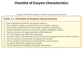 Checklist of Enzyme Characteristics
 