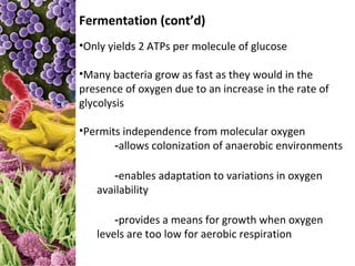 Fermentation (cont’d)
•Only yields 2 ATPs per molecule of glucose

•Many bacteria grow as fast as they would in the
presence of oxygen due to an increase in the rate of
glycolysis

•Permits independence from molecular oxygen
       -allows colonization of anaerobic environments

      -enables adaptation to variations in oxygen
   availability

       -provides a means for growth when oxygen
   levels are too low for aerobic respiration
 