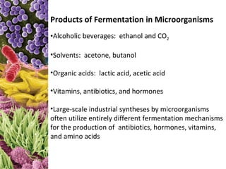 Products of Fermentation in Microorganisms
•Alcoholic beverages: ethanol and CO2

•Solvents: acetone, butanol

•Organic acids: lactic acid, acetic acid

•Vitamins, antibiotics, and hormones

•Large-scale industrial syntheses by microorganisms
often utilize entirely different fermentation mechanisms
for the production of antibiotics, hormones, vitamins,
and amino acids
 