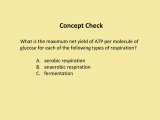 Concept Check

What is the maximum net yield of ATP per molecule of
glucose for each of the following types of respiration?

       A. aerobic respiration
       B. anaerobic respiration
       C. fermentation
 