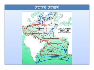 সমুদ্র স্রোত
 