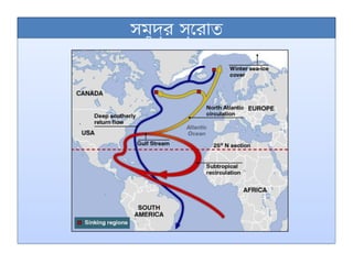 সমুদ্র স্রোত
 