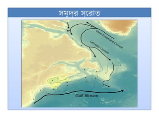 সমুদ্র স্রোত
 