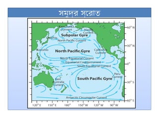 সমুদ্র স্রোত
 