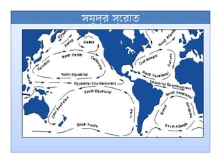 সমুদ্র স্রোত
 