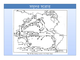 সমুদ্র স্রোত
 