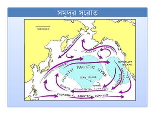 সমুদ্র স্রোত
 