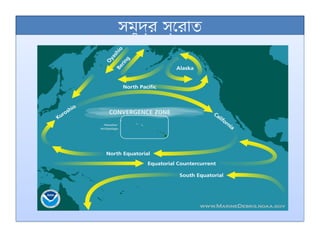 সমুদ্র স্রোত
 