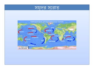 সমুদ্র স্রোত
 