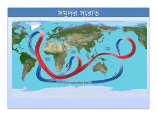 সমুদ্র স্রোত
 