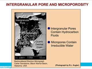 INTERGRANULAR PORE AND MICROPOROSITY
Intergranular
Pore
Microporosity
Kaolinite
Quartz
Detrital
Grain
Intergranular Pores
Contain Hydrocarbon
Fluids
Micropores Contain
Irreducible Water
Backscattered Electron Micrograph
Carter Sandstone, Black Warrior Basin,
Alabama, USA (Photograph by R.L. Kugler)
 