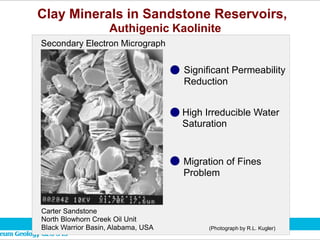 Clay Minerals in Sandstone Reservoirs,
Authigenic Kaolinite
Secondary Electron Micrograph
Carter Sandstone
North Blowhorn Creek Oil Unit
Black Warrior Basin, Alabama, USA
Significant Permeability
Reduction
High Irreducible Water
Saturation
Migration of Fines
Problem
(Photograph by R.L. Kugler)
 