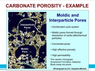 CARBONATE POROSITY - EXAMPLE
Thin section micrograph
Smackover Formation, Alabama
Black areas are pores.
(Photograph by D.C. Kopaska-Merkel)
• Combination pore system
• Moldic pores formed through
dissolution of ooids (allochemical
particles)
• Connected pores
• High effective porosity
• High permeability
Moldic
Pore
Interparticle
Pores
Moldic and
Interparticle Pores
 