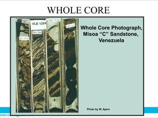 Whole Core Photograph,
Misoa “C” Sandstone,
Venezuela
WHOLE CORE
Photo by W. Ayers
 