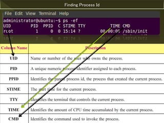 Advanced Scripting (Ch-8) English Medium Std-11 | PPTX