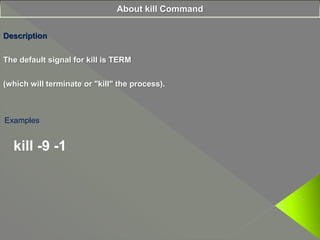 Advanced Scripting (Ch-8) English Medium Std-11 | PPTX