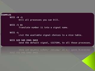 Advanced Scripting (Ch-8) English Medium Std-11 | PPTX