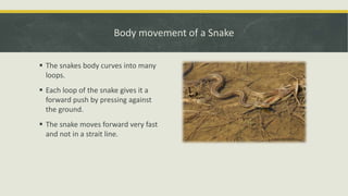 Ch 8 body movements | PPTX