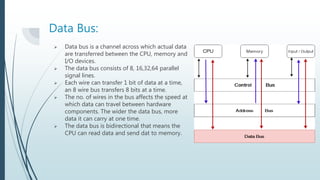 Data Line Bus Introduction to Processor | PPTX