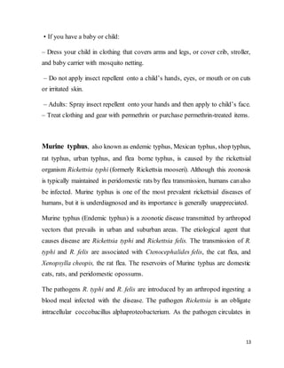 13
• If you have a baby or child:
– Dress your child in clothing that covers arms and legs, or cover crib, stroller,
and baby carrier with mosquito netting.
– Do not apply insect repellent onto a child’s hands, eyes, or mouth or on cuts
or irritated skin.
– Adults: Spray insect repellent onto your hands and then apply to child’s face.
– Treat clothing and gear with permethrin or purchase permethrin-treated items.
Murine typhus, also known as endemic typhus, Mexican typhus, shop typhus,
rat typhus, urban typhus, and flea borne typhus, is caused by the rickettsial
organism Rickettsia typhi (formerly Rickettsia mooseri). Although this zoonosis
is typically maintained in peridomestic rats by flea transmission, humans canalso
be infected. Murine typhus is one of the most prevalent rickettsial diseases of
humans, but it is underdiagnosed and its importance is generally unappreciated.
Murine typhus (Endemic typhus) is a zoonotic disease transmitted by arthropod
vectors that prevails in urban and suburban areas. The etiological agent that
causes disease are Rickettsia typhi and Rickettsia felis. The transmission of R.
typhi and R. felis are associated with Ctenocephalides felis, the cat flea, and
Xenopsylla cheopis, the rat flea. The reservoirs of Murine typhus are domestic
cats, rats, and peridomestic opossums.
The pathogens R. typhi and R. felis are introduced by an arthropod ingesting a
blood meal infected with the disease. The pathogen Rickettsia is an obligate
intracellular coccobacillus alphaproteobacterium. As the pathogen circulates in
 