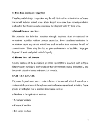 4
b) Flooding, drainage congestion
Flooding and drainage congestion may be risk factors for contamination of water
bodies with infected animal urine. Water logged areas may force rodent population
to abandon their burrows and contaminate the stagnant water by their urine.
c)Animal-Human Interface
The potential for infection increases through exposure from occupational or
recreational activities without proper protection. Poor cleanliness/sanitation in
recreational areas may attract animal host such as rodent thus increases the risk of
contamination. These may be due to poor maintenance of facilities, improper
disposal of waste and public attitude/ apathy.
d) Human host risk factors
Several sections of the population are more susceptible to infection such as those
not previously exposed to the bacteria in their environment (naïve immunities), and
those with chronic disease and open skin wounds.
HIGH RISK GROUPS
Exposure depends on chance contacts between human and infected animals or a
contaminated environment through occupationaland/orrecreational activities. Some
groups are at higher risk to contract the disease such as:
 Workers in the agricultural sectors
 Sewerage workers
 Livestock handlers
 Pet shops workers
 