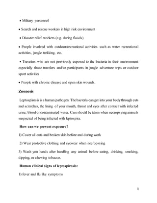 5
 Military personnel
 Search and rescue workers in high risk environment
 Disaster relief workers (e.g. during floods)
 People involved with outdoor/recreational activities such as water recreational
activities, jungle trekking, etc.
 Travelers who are not previously exposed to the bacteria in their environment
especially those travelers and/or participants in jungle adventure trips or outdoor
sport activities
 People with chronic disease and open skin wounds.
Zoonosis
Leptospirosis is a human pathogen. Thebacteria can get into your bodythrough cuts
and scratches, the lining of your mouth, throat and eyes after contact with infected
urine, blood orcontaminated water. Care should betaken when necropsying animals
suspected of being infected with leptospira.
How can we prevent exposure?
1) Cover all cuts and broken skin before and during work
2) Wear protective clothing and eyewear when necropsying
3) Wash you hands after handling any animal before eating, drinking, smoking,
dipping, or chewing tobacco.
Human clinical signs of leptospirosis:
1) fever and flu like symptoms
 