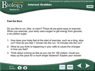 Interest Grabber ,[object Object],[object Object],Section 9-1 1. How does your body feel at the start of exercise, such as a long, slow run? How do you feel 1 minute into the run; 10 minutes into the run? 2. What do you think is happening in your cells to cause the changes in how you feel? 3. Think about running as fast as you can for 100 meters. Could you keep up this pace for a much longer distance? Explain your answer. 