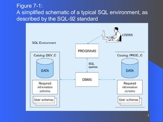 Figure 7-1: A simplified schematic of a typical SQL environment, as described by the SQL-92 standard 