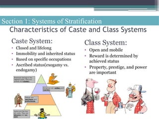 Understanding Social Stratification: Systems, Theories, and Poverty in ...