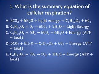 1. What is the summary equation of cellular respiration? ,[object Object],[object Object],[object Object],[object Object],[object Object]
